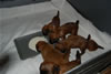 Glitter-Desi Puppies: 4-weeks old